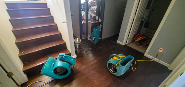 Best Emergency water damage restoration  in Coldwater, OH