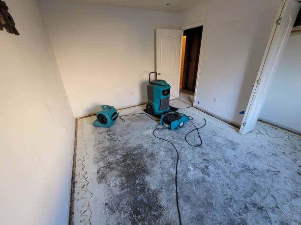Water damage restoration mold remediation in Coldwater, OH