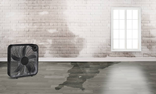  Coldwater, OH Water damage restoration Pros