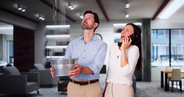 Best Commercial water damage restoration  in Coldwater, OH